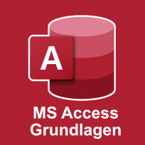 MS Access Datenbankentwicklung Grundlagen Schulung