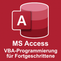 Schulung zu MS Access VBA-Programmierung für Fortgeschrittene