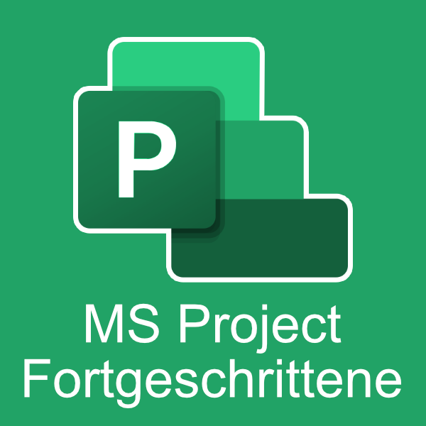 MS Project Schulung für Fortgeschrittene