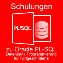 Oracle PL-SQL Datenbankprogrammierung für Fortgeschrittene
