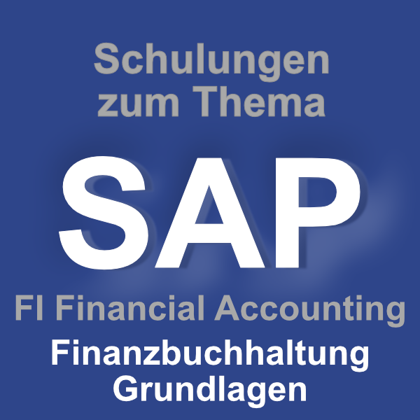 SAP FI Finanzbuchhaltung Grundlagen