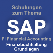 SAP FI Finanzbuchhaltung Grundlagen