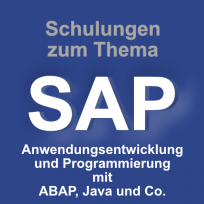 SAP Anwendungsentwicklung und Programmierung mit ABAB, Java und Co.