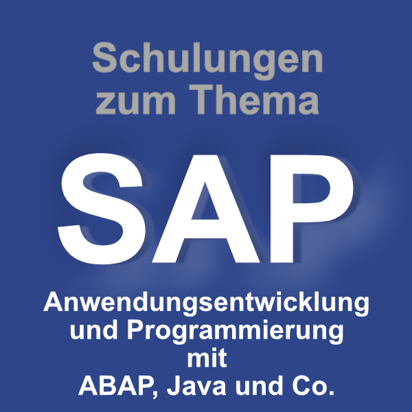 SAP Anwendungsentwicklung und Programmierung mit ABAB, Java und Co.