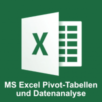 MS Excel Pivot-Tabellen und Datenanalyse
