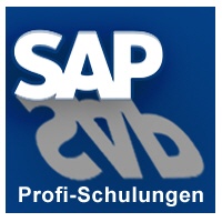SAP Schulungen und Kurse zu SAP ERP | Kurs-Programm der dk-Computerschule